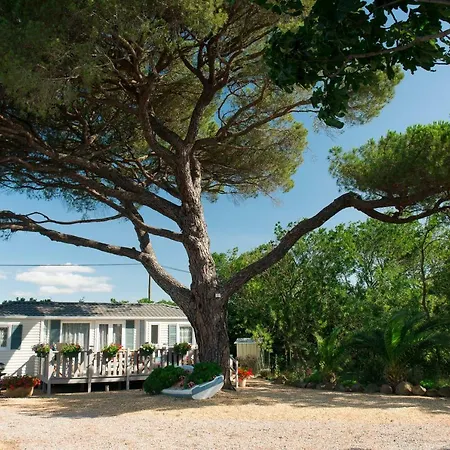 Camping Le Pin Parasol 3* Saint-Thibéry