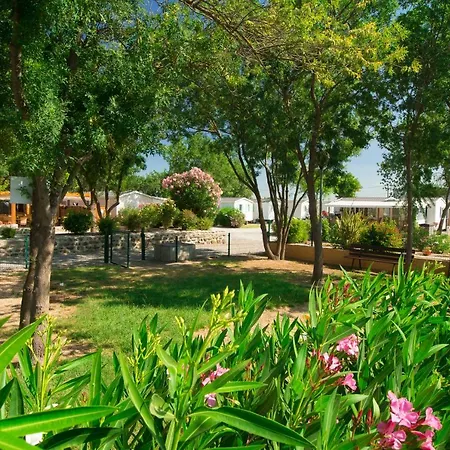 Campingplads Camping Le Pin Parasol 3*